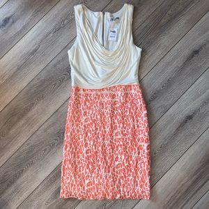 Charlotte Russe dress NWT size medium